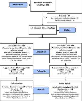 Effectiveness of locally produced ready to use supplementary food on hemoglobin, anthropometrics, and plasma micronutrients concentrations of 6 to 23 months age children: a non-randomized community-based trial from Pakistan